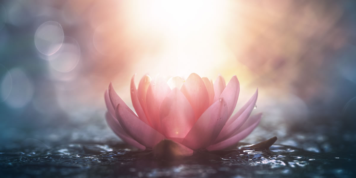 Elke Stöger Magnified Healing®